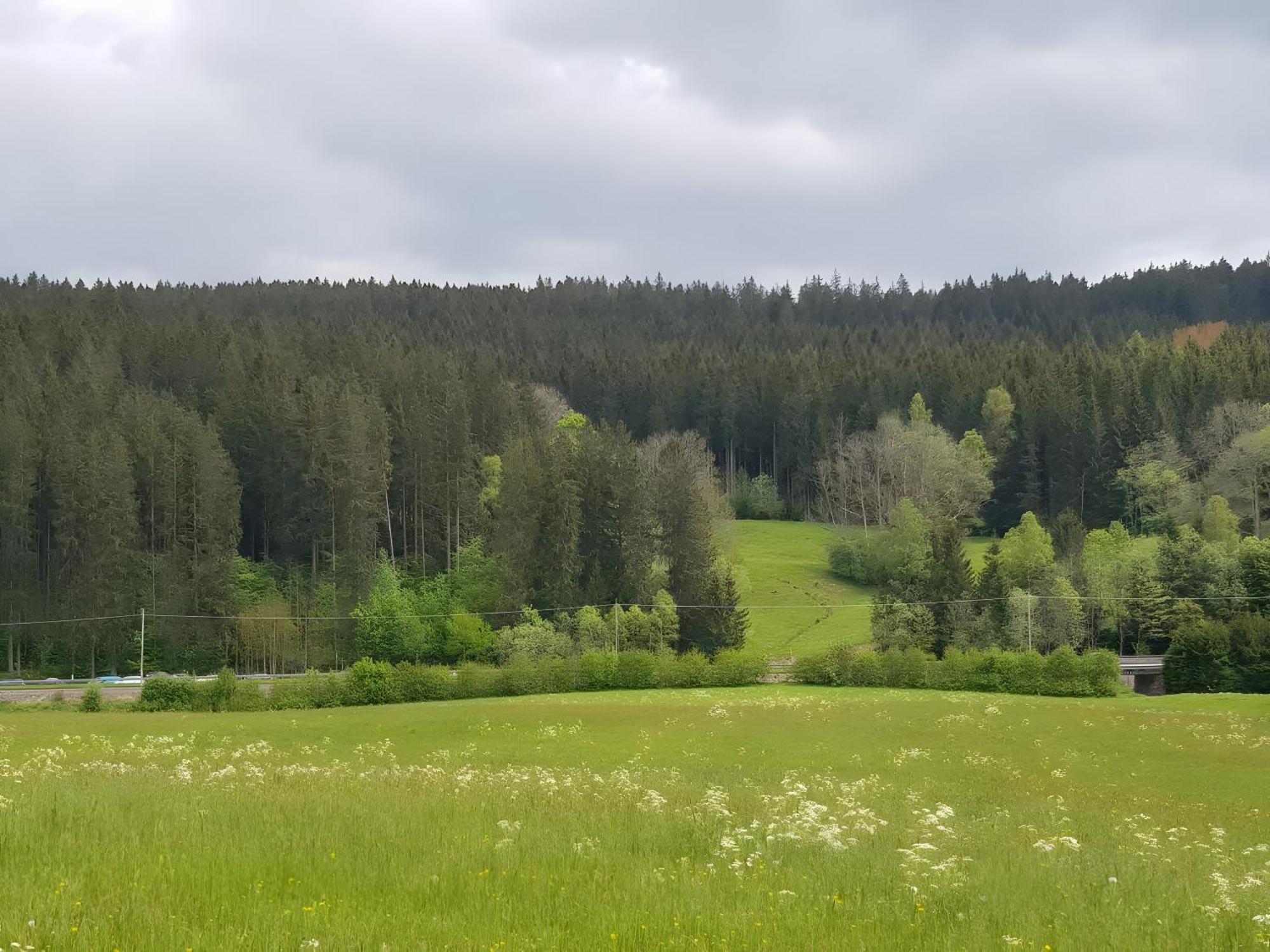 Haus Schwedes Appartement Titisee-Neustadt Buitenkant foto